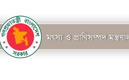 মৎস্য ও প্রাণিসম্পদ খাতে বিদ্যুৎ বিলে ২০ শতাংশ ছাড় দেবে সরকার 