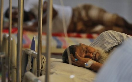 ২৪ ঘণ্টায় ডেঙ্গুতে আক্রান্ত ৩৮৭, মৃত্যু ৫