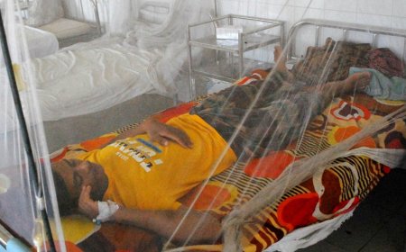 গত ২৪ ঘণ্টায় ডেঙ্গুতে মৃত্যু নেই, আক্রান্ত ৫৭২