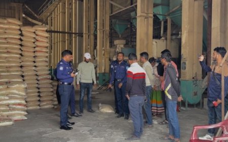 রাইস মিলের নৈশপ্রহরীকে বেঁধে ৬৩৩ বস্তা চাল লুটের অভিযোগ