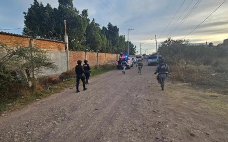 মেক্সিকোয় ফুটবল মাঠে সশস্ত্র হামলায় নিহত ১১, আহত ১২