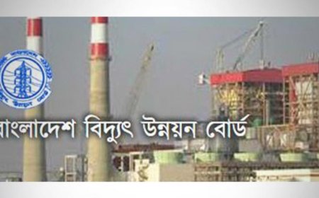 দেউলিয়ার পথে পিডিবি, বোঝা বাড়বে জনগণের 