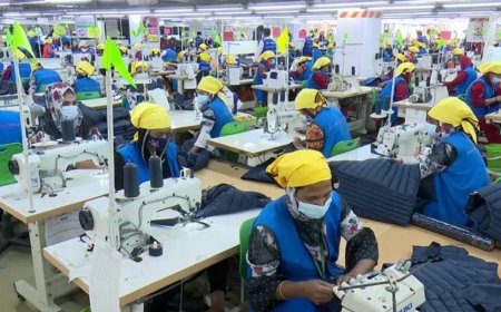 ভারতের জিএসপি স্থগিত, ইউরোপে কতটা সুযোগ বাড়লো বাংলাদেশের