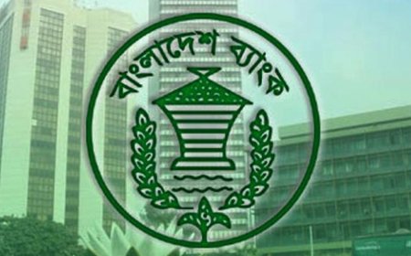 গণভোট: ‘হ্যাঁ’র পক্ষে প্রচারণার নির্দেশ বাংলাদেশ ব্যাংকের