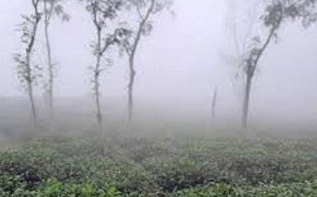 চার-দিন ধরে দেশের সর্বনিম্ন তাপমাত্রা শ্রীমঙ্গলে