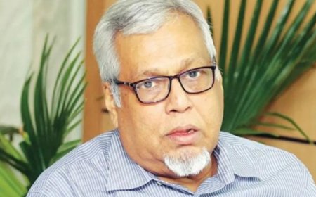 নতুন পে স্কেল অন্তর্বর্তী সরকার বাস্তবায়ন করবে না: জ্বালানি উপদেষ্টা 