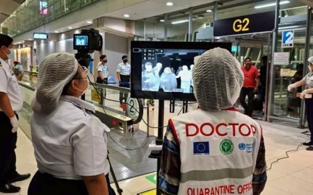 ভারতে নিপাহ ভাইরাসের প্রকোপ, এশিয়ার বিভিন্ন বিমানবন্দরে সতর্কতা