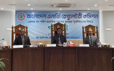ভোলা থেকে এলএনজি না এনে বিদ্যুৎকেন্দ্র স্থাপনের আহ্বান কমিশনের