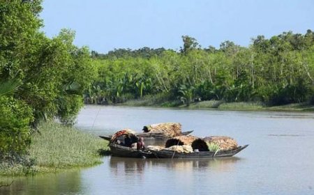 মুক্তিপণ দিয়ে সুন্দরবন থেকে ফিরলেন ১৪ জেলে, এখনও বন্দি ৬