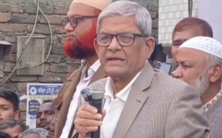 নৌকা না থাকলেও আমাদের প্রতিপক্ষ দল আছে, সেটি দাঁড়িপাল্লা: মির্জা ফখরুল