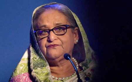 Formal charges filed against Hasina over Jahajbari staged raid deaths