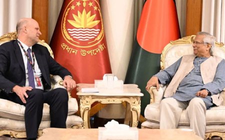 Rohingya return only solution: CA Yunus