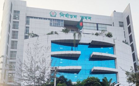 গণভোটে ‘হ্যাঁ’ বা ‘না’র পক্ষে সরকারি কর্মকর্তারা প্রচারণা করতে পারবে না: ইসি