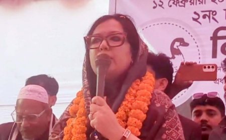 হাঁস যেন কোনও শিয়ালের বাচ্চা চুরি করতে না পারে: রুমিন ফারহানা