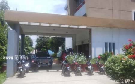 পুলিশ মাদকসেবীকে আটকের পর ছেড়ে দেওয়ার অভিযোগ ইউএনওর বিরুদ্ধে