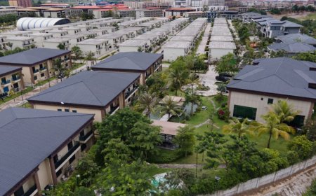 মিয়ানমারের ১১ নাগরিকের মৃত্যুদণ্ড কার্যকর করলো চীন