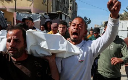 শেষ ধাপে ১৫ ফিলিস্তিনি দেহ হস্তান্তর করেছে ইসরায়েল