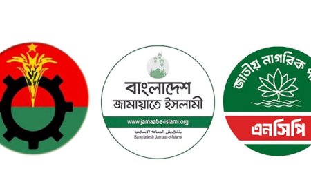 নির্বাচনি প্রচারণায় সরব দলগুলো, ইশতেহার কোথায়?