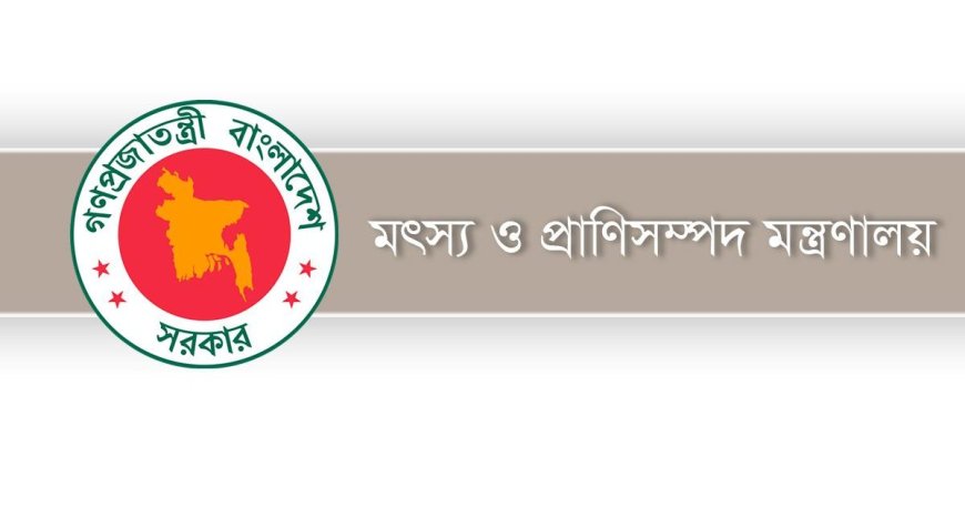 মৎস্য ও প্রাণিসম্পদ খাতে বিদ্যুৎ বিলে ২০ শতাংশ ছাড় দেবে সরকার 