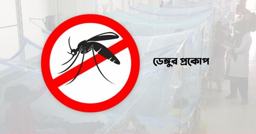২৪ ঘণ্টায় ডেঙ্গুতে আক্রান্ত ২৪০, মৃত্যু ১
