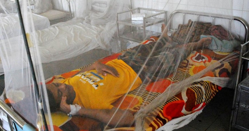 গত ২৪ ঘণ্টায় ডেঙ্গুতে মৃত্যু নেই, আক্রান্ত ৫৭২