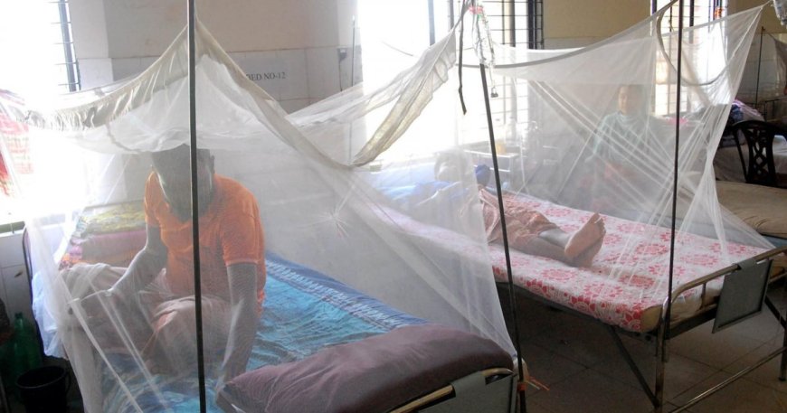 ডেঙ্গুতে একদিনে আক্রান্ত ৪১১, মৃত্যু ৩
