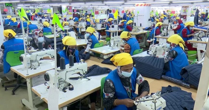 ভারতের জিএসপি স্থগিত, ইউরোপে কতটা সুযোগ বাড়লো বাংলাদেশের