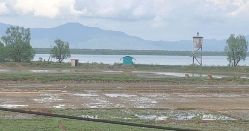 মিয়ানমার থেকে ছোড়া গুলিতে টেকনাফে ২ কিশোর আহত