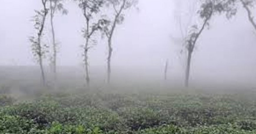 চার-দিন ধরে দেশের সর্বনিম্ন তাপমাত্রা শ্রীমঙ্গলে