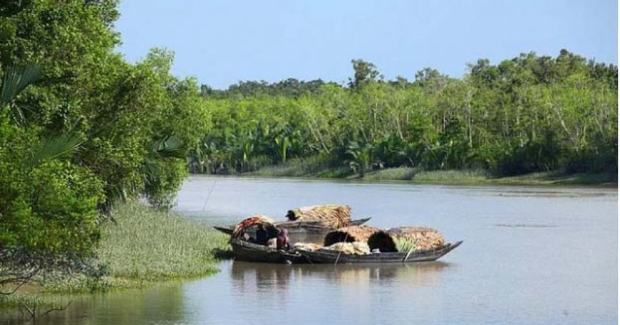 মুক্তিপণ দিয়ে সুন্দরবন থেকে ফিরলেন ১৪ জেলে, এখনও বন্দি ৬
