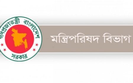 ‘হ্যাঁ-না’ প্রচারণা নিয়ে ইসির নিষেধাজ্ঞা বাস্তবায়নে মন্ত্রিপরিষদ বিভাগের নির্দেশ