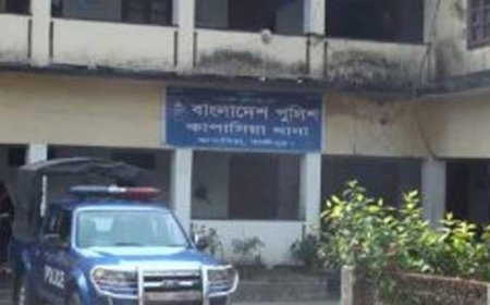 নাতির হামলায় কৃষকদলের নেতা নিহত