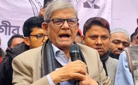 দেশের মানুষকে ফেলে যে দিল্লিতে গিয়ে বসে থাকে, সে নেতা চাই না: মির্জা ফখরুল