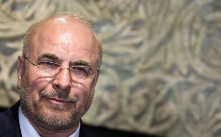 ইউরোপীয় সেনাবাহিনীকে সন্ত্রাসী গোষ্ঠী আখ্যা ইরানের