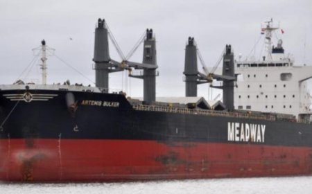 যুক্তরাষ্ট্র থেকে এলো আরও ৫৮ হাজার টন গম