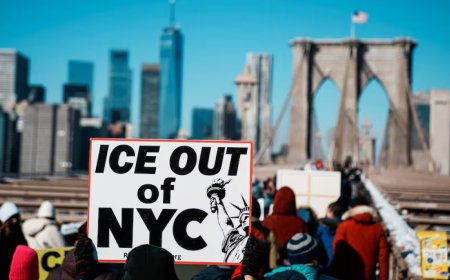 অভিবাসন পুলিশিং থেকে স্থানীয় পুলিশকে বিরত রাখতে বিল প্রস্তাব নিউ ইয়র্কে