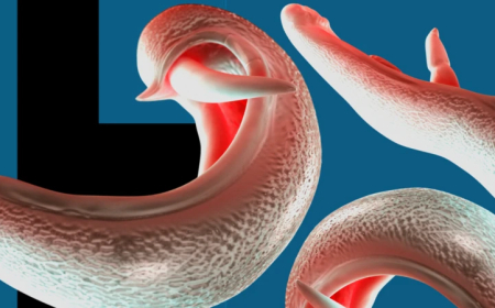 আফ্রিকার বাইরে ছড়িয়ে পড়ছে স্নেইল ফিভার, এশিয়ায় বাড়ছে সতর্কতা