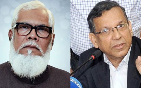 বৈদেশিক মুদ্রা নিয়ন্ত্রণ আইনে সালমান-আনিসুলের বিরুদ্ধে অভিযোগপত্র