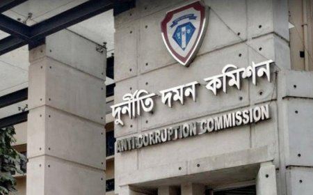 জাহাঙ্গীরনগর বিশ্ববিদ্যালয়ের সাবেক উপাচার্য ফারজানা ইসলামসহ তিনজনের দেশত্যাগে নিষেধাজ্ঞা