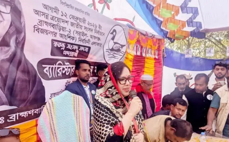 আমার গুন্ডা বাহিনী নাই যারা কেন্দ্র দখল রাখবে: রুমিন ফারহানা