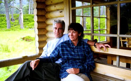 নিজের শুক্রাণু ব্যবহার করে ‘শিশু প্রজনন খামার’ গড়ার পরিকল্পনা করেছিলেন এপস্টিন