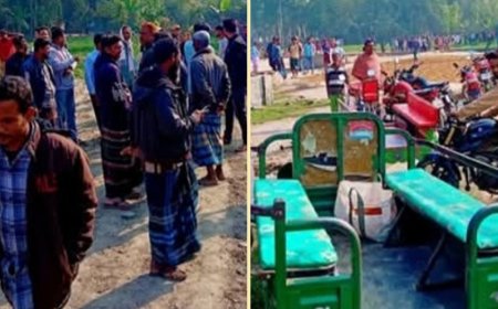 নওগাঁয় কুকুরের মাংস খাসি বলে বিক্রির অভিযোগ