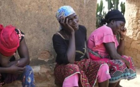 নাইজেরিয়ার তিন গ্রামে সশস্ত্র হামলা, নিহত  ৩২