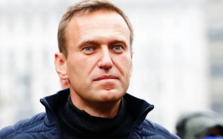 নাভালনিকে 'ব্যাঙের বিষ দিয়ে হত্যার' অভিযোগ অস্বীকার রাশিয়ার