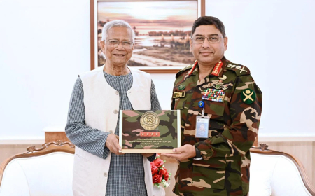 প্রধান উপদেষ্টার সঙ্গে সেনাপ্রধানের বিদায়ী সাক্ষাৎ