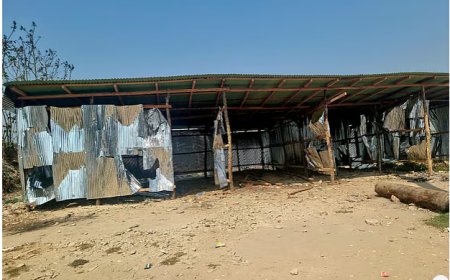 বিএনপির ব্যানার লাগিয়ে নদীবন্দরের জমি দখল, অবৈধ স্থাপনা গুঁড়িয়ে দিল ছাত্রদল