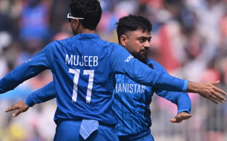 ৭০০ উইকেটের মাইলফলক ছুঁলেন রশিদ খান