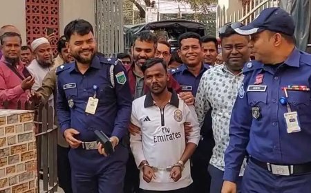 ধর্ষণ ও নির্যাতনের মামলায় হিরো আলম গ্রেপ্তার