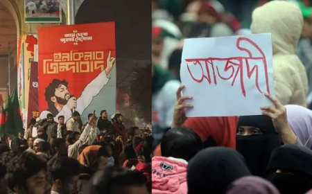 ইনকিলাব, আজাদি, বন্দোবস্ত ও বয়ান নিয়ে বিতর্ক কেন?