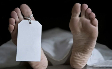 রাজধানীর পল্টনে কাটা হাত-পা উদ্ধার